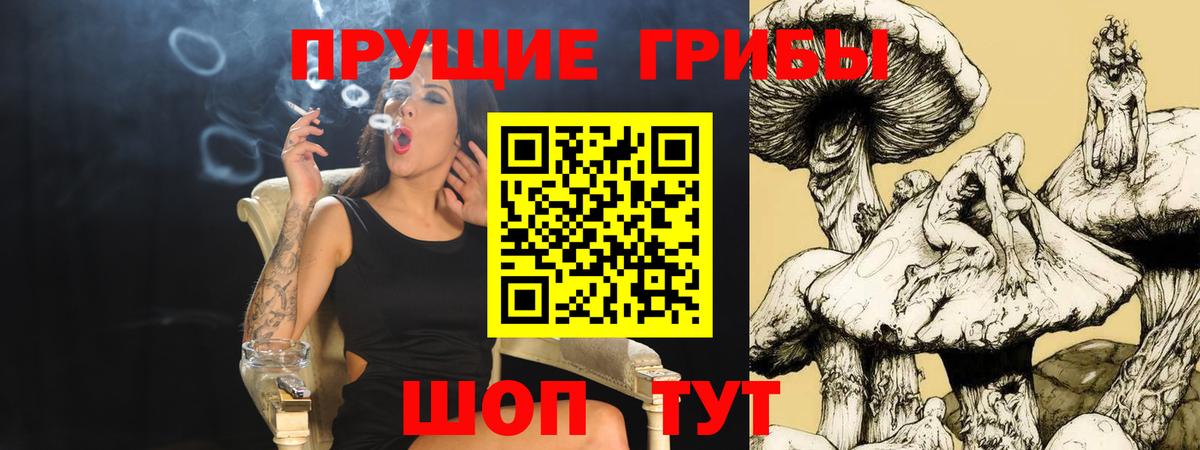 Галлюциногенные грибы Psilocybine cubensis Киржач